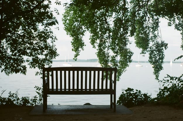 Bench